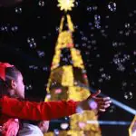 Inauguração da Árvore de Natal do Villa-Lobos