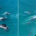 Imagens aéreas mostram a embarcação submersa no mar de Maragogi e voluntários tentando fazer o resgate: 47 passageiros e 3 tripulantes a bordo | Foto: Departamento Estadual de Aviação/AL