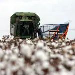 Senado vai debater viés político contra o agronegócio em livros didáticos