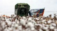 Senado vai debater viés político contra o agronegócio em livros didáticos