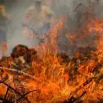 Queimadas cresceram quase 80% no Brasil | Foto: Joédson Alves/Agência Brasil; Defesa Civil alerta para risoc em São Paulo