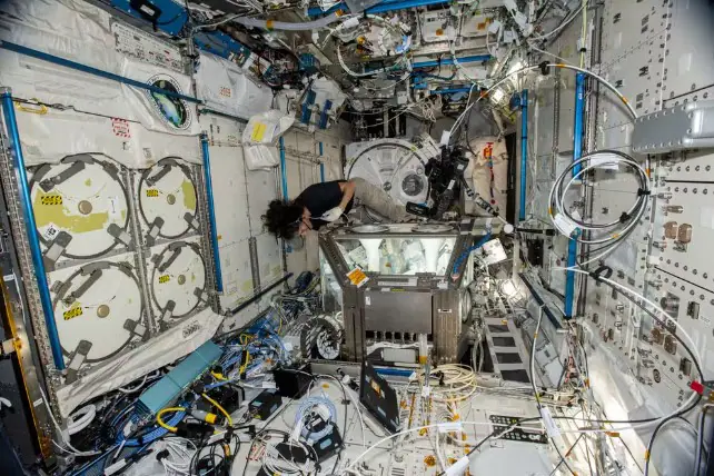 Suni Williams no StemCellEX-H1, uma tecnologia para produção no espaço de células-tronco humanas que são usadas como terapias para doenças do sangue e cânceres | Foto: Divulgação/Nasa