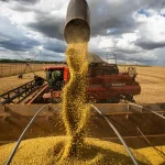No ano, a Agroindústria registra alta de 2,7%, o melhor desempenho para o período de janeiro a outubro desde 2010 | Foto: Reprodução/Agência Brasil