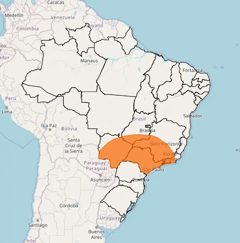 Alguns Estados têm alerta laranja do Inmet para a madrugada de sábado