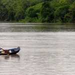 Amazônia | Foto: Reprodução/Agência Brasil