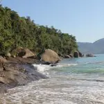 Substâncias foram encontradas em Ubatuba, no litoral norte de São Paulo | Foto: Divulgação/Pixabay