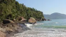 Substâncias foram encontradas em Ubatuba, no litoral norte de São Paulo | Foto: Divulgação/Pixabay