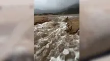 Momento foi registrado pelo trabalhador de um quiosque local | Foto: Reprodução/Redes sociais