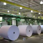 No ano de 2023, a produção de papel e celulose correspondeu a 2,7% do Produto Interno Bruto (PIB) brasileiro | Foto: Reprodução/Redes sociais
