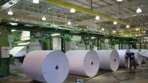 No ano de 2023, a produção de papel e celulose correspondeu a 2,7% do Produto Interno Bruto (PIB) brasileiro | Foto: Reprodução/Redes sociais
