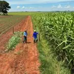 sistema diamantino - a força do agro - 03122024