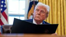 donald trump stf