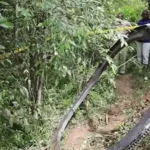 Anel cai no Quênia