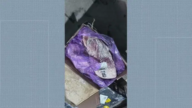 Os investigados podem enfrentar acusações de associação criminosa, receptação, adulteração e corrupção de alimentos, crimes com impacto nacional | Foto: Reprodução/TV Globo