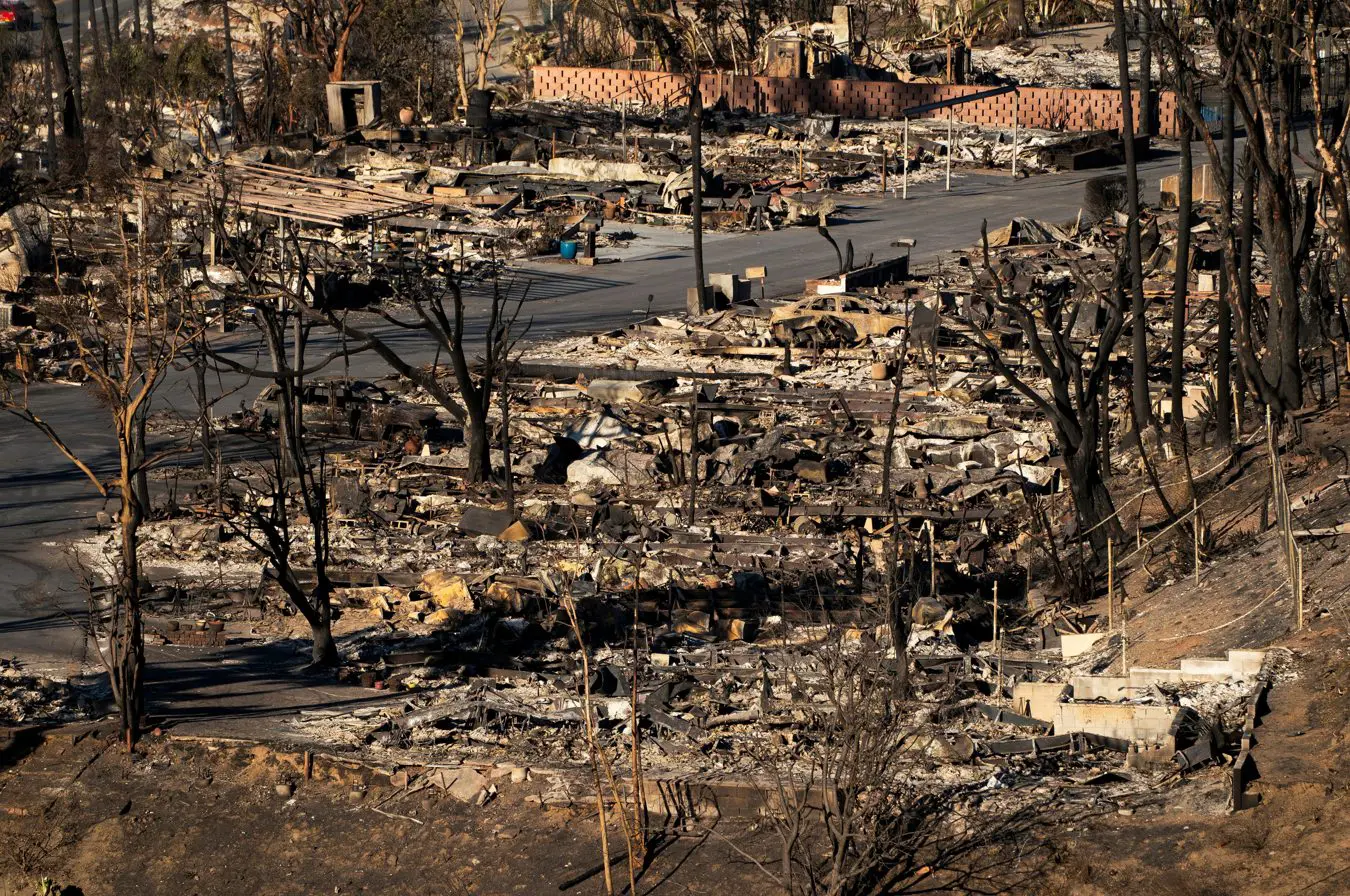 Imagem mostra os restos de casas queimadas pelo incêndio de Palisades, no bairro Pacific Palisades, em Los Angeles, Califórnia - 14/1/2025 | Foto: David Ryder/Reuters