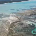 Criada em 1997, a APA Costa dos Corais é uma das maiores unidades de conservação marinha do Brasil | Foto: Reprodução/Redes sociais