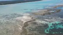 Criada em 1997, a APA Costa dos Corais é uma das maiores unidades de conservação marinha do Brasil | Foto: Reprodução/Redes sociais