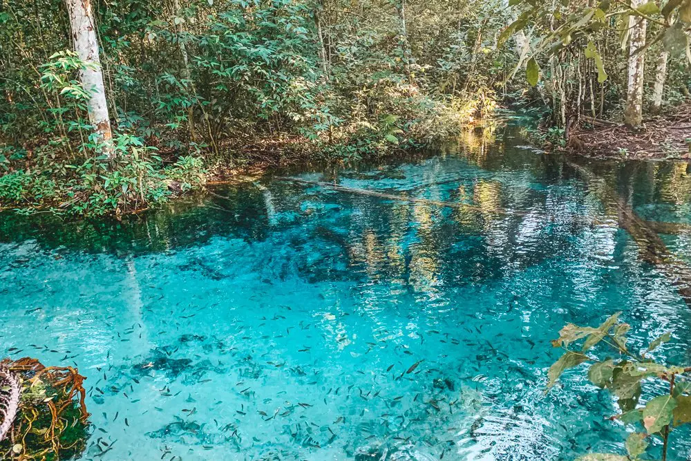 Segundo os administradores locais, as visitas clandestinas dificultam a preservação da gruta | Foto: Reprodução/Redes sociais