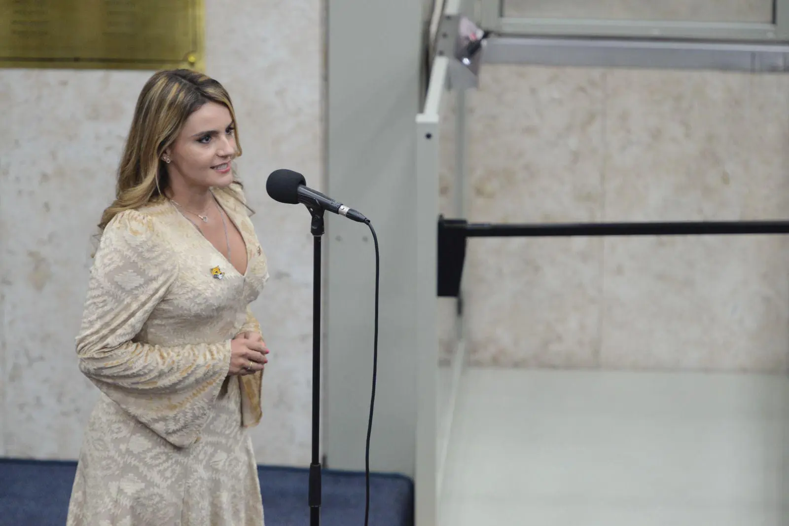 De acordo com a vereadora Amanda Vettorazzo, a lei ‘Anti-Oruam’ busca estabelecer critérios mais rigorosos para a realização de eventos patrocinados com recursos públicos | Foto: Divulgação/Câmara Municipal de São Paulo