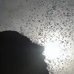 Na quinta-feira 23 e na sexta-feira 24, o calor dará uma leve trégua, com máximas de 28ºC e 29ºC, respectivamente | Foto: Arquivo/Agência Brasil