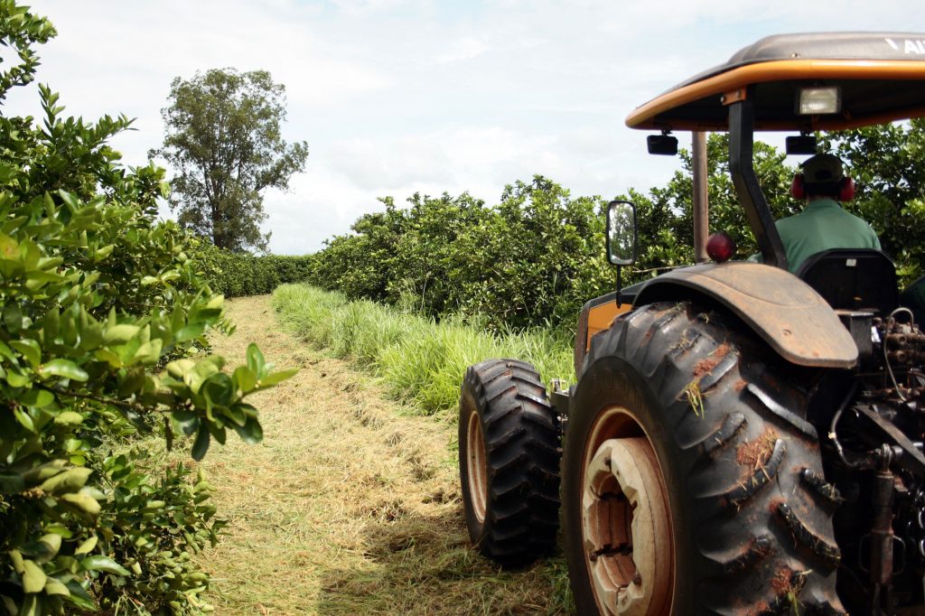 São Paulo foi responsável por 18,6% das exportações do agro brasileiro em 2024
