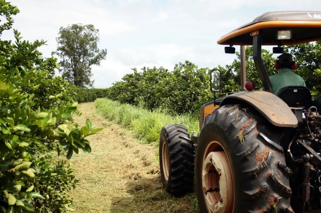 São Paulo foi responsável por 18,6% das exportações do agro brasileiro em 2024
