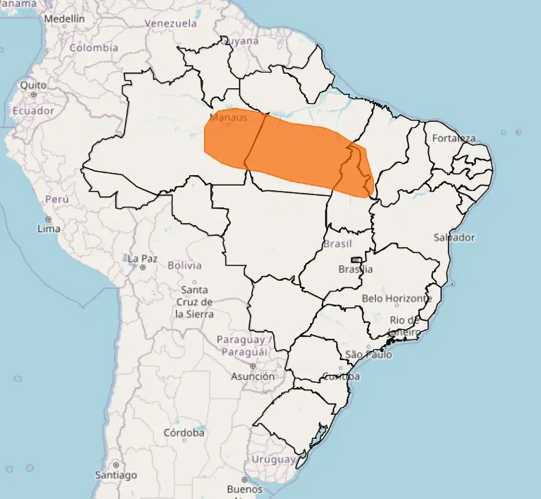 De acordo com o Inmet, estão previstos ventos de 40 a 60 km/h para a maior parte do país