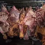 carne