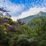 O Pico Focinho d'Anta , a 1.712 metros, é uma das atrações indicadas para quem tem bom preparo físico: trilhas de até 10km e duração estimada de cinco horas | Foto: PMSJ/Divulgação