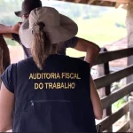 auditor fiscal