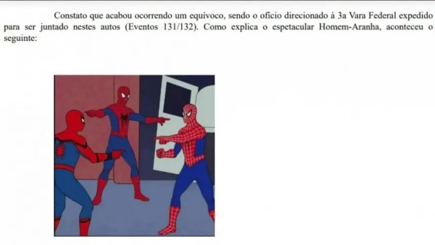 A juíza federal substituta de Volta Redonda, Karina Dusse, usou a imagem em uma decisão