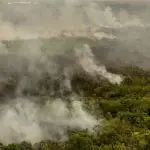 AGU multa em R$ 725 milhões acusados por danos ambientais no Pantanal