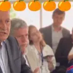 rui costa - laranja
