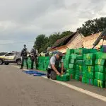 Toneladas de maconha foram apreendidas em Porangaba (SP) | Foto: Secretaria da Segurança Pública/Divulgação