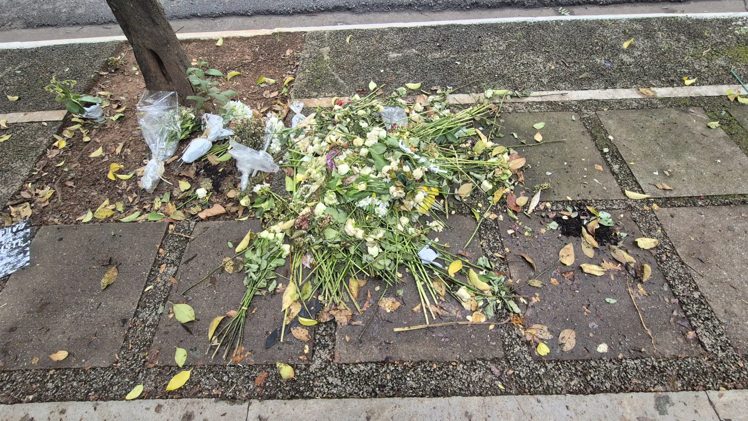 local onde morreu o ciclista Vitor Medrado