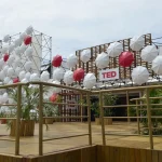 ted
