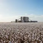 Invasões de terra na Bahia e no Espírito Santo preocupam a bancada do agro