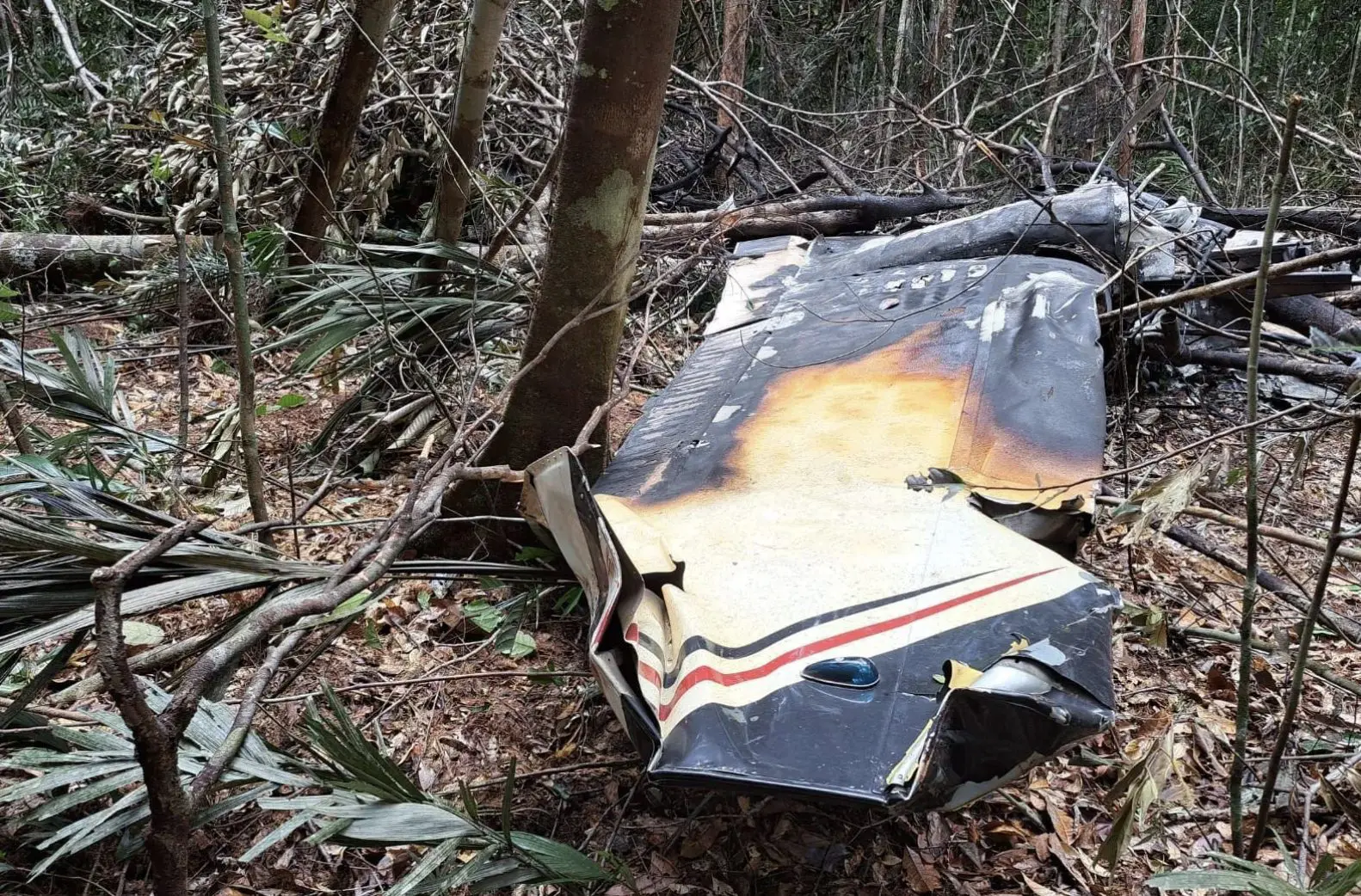 De acordo com a FAB, a aeronave não possuía identificação | Foto: Divulgação/FAB
