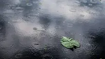 A quantidade esperada de chuvas intensas pode atingir 100 mm em 24 horas | Foto: Wirestock/Freepik