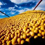 A exportação de grãos, como a soja, e outras commodities ajuda o país a impedir o aumento do déficit em relação ao mercado norte-americano | Foto: Rufino R. R/Agência gov