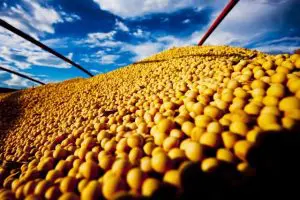 A exportação de grãos, como a soja, e outras commodities ajuda o país a impedir o aumento do déficit em relação ao mercado norte-americano | Foto: Rufino R. R/Agência gov