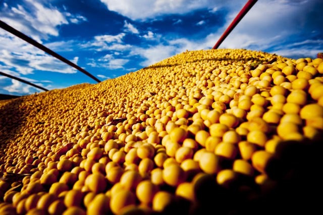 A exportação de grãos, como a soja, e outras commodities ajuda o país a impedir o aumento do déficit em relação ao mercado norte-americano | Foto: Rufino R. R/Agência gov