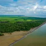 Parque Nacional do Cabo Orange, na Bacia Foz do Amazonas, lugar protegido pelo Ibama | Foto: Reprodução/Portal Sustentabilidade