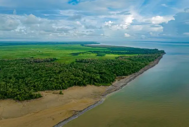 Parque Nacional do Cabo Orange, na Bacia Foz do Amazonas, lugar protegido pelo Ibama | Foto: Reprodução/Portal Sustentabilidade
