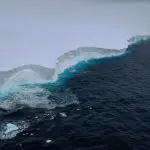 Theresa Gossman, Matthew Gascoyne e Christopher Grey/British Antarctic Survey