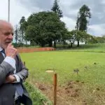 Lula disse que come os ovos das emas que estão no Palácio do Alvorada | Foto: Reprodução/Redes sociais