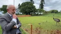 Lula disse que come os ovos das emas que estão no Palácio do Alvorada | Foto: Reprodução/Redes sociais