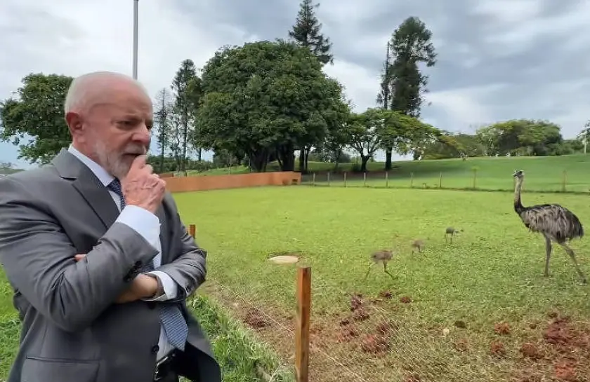Lula disse que come os ovos das emas que estão no Palácio do Alvorada | Foto: Reprodução/Redes sociais