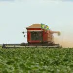 agro brasil