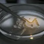 laboratório orion